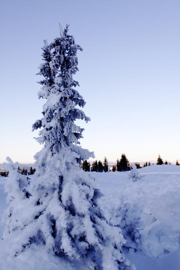 Ilsetra Hotell Hafjell Exterior foto